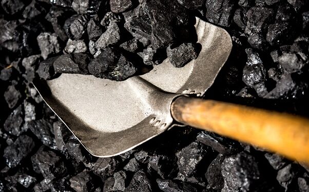 Burmistrz Zgorzelca nie przyjął zaproszenia Dyrektora Wochny.