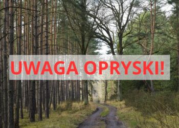 Od 22 maja okresowy zakaz wstępu do lasów! Sprawdź gdzie będą prowadzone opryski