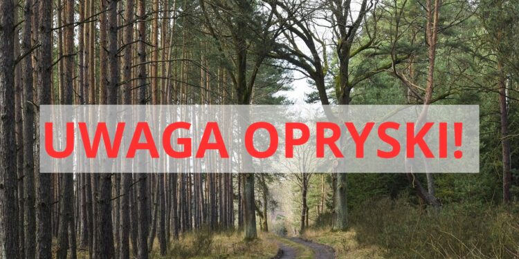 Od 22 maja okresowy zakaz wstępu do lasów! Sprawdź gdzie będą prowadzone opryski