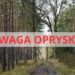 Od 22 maja okresowy zakaz wstępu do lasów! Sprawdź gdzie będą prowadzone opryski