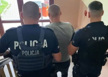 Seryjny włamywacz ze Zgorzelca zatrzymany przez policję
