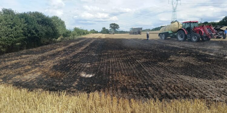 Pożar pola w Radomierzycach