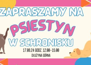 Pierwszy Psiestyn w Schronisku dla Zwierząt Małych w Dłużynie Górnej!
