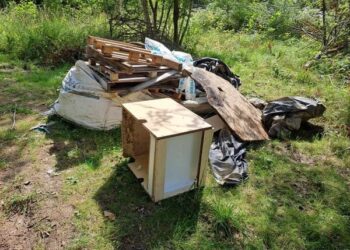 „Śmieciarze” przyłapani na gorącym uczynku. Czy w Zgorzelcu jest potrzebna straż miejska?