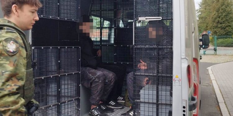 Pięciu cudzoziemców zatrzymanych w Zgorzelcu