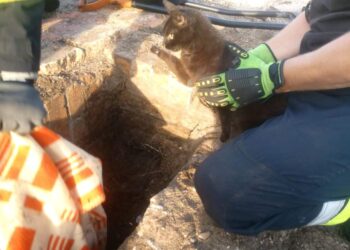 Strażacy z OSP Pieńsk uratowali kotka