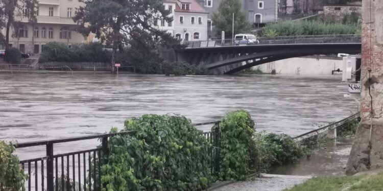 Polka wpadła do Nysy, prąd niósł ją przez prawie kilometr!