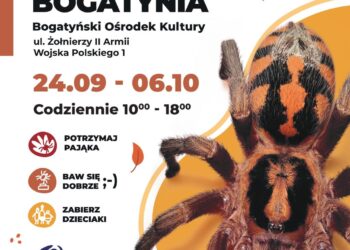 Wystawa pająków w Bogatyni
