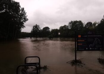 Burmistrz Rafał Gronicz o sytuacji powodziowej w Zgorzelcu