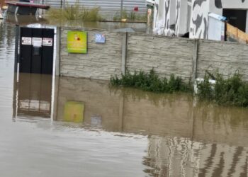 Zbiórka dla Schroniska Zwierząt w Kłodzku