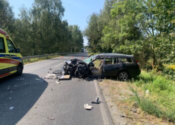 Śmiertelny wypadek na drodze wojewódzkiej 352 w Bogatyni