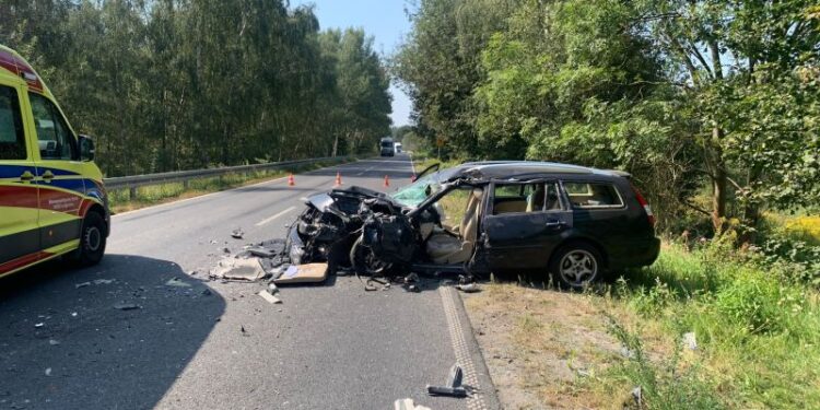 Śmiertelny wypadek na drodze wojewódzkiej 352 w Bogatyni