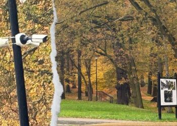 Monitoring miejski w Zgorzelcu: dlaczego nie spełnia oczekiwań mieszkańców?