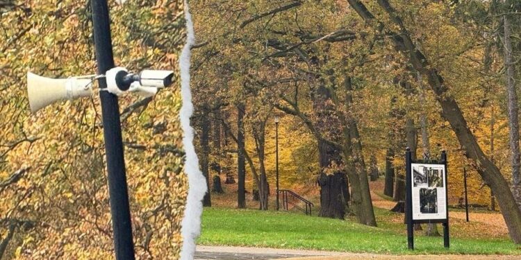 Monitoring miejski w Zgorzelcu: dlaczego nie spełnia oczekiwań mieszkańców?