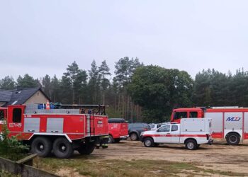 Tragiczny finał poszukiwań zaginionej osoby
