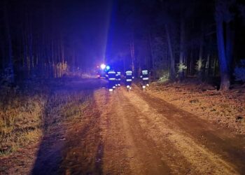 Kolejny grzybiarz zgubił się w lesie