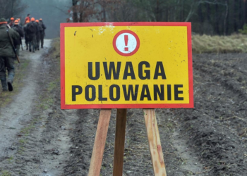 Koło Łowieckie „Knieja” i „Słonka” informują o polowaniach zbiorowych w sezonie 2024/2025