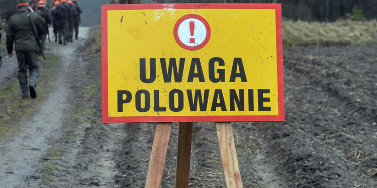 Koło Łowieckie „Knieja” i „Słonka” informują o polowaniach zbiorowych w sezonie 2024/2025