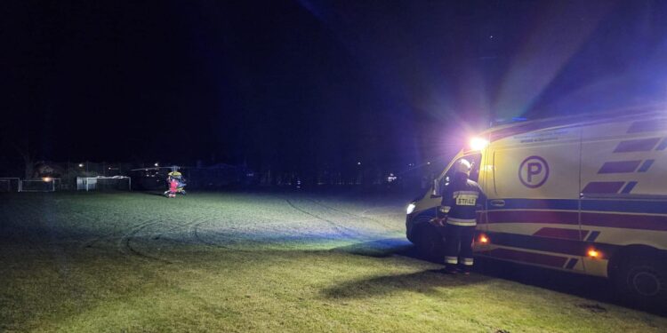 Mężczyznę przygniotło ścinane drzewo