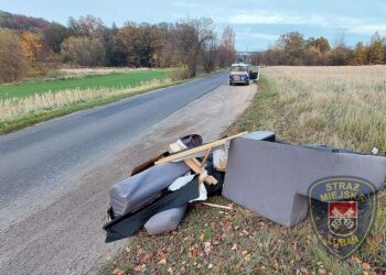 Nie dał za wygraną i porzucił odpady przy drodze