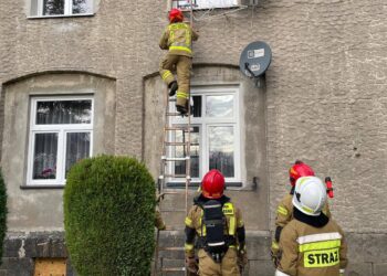 W Sieniawce znaleziono zwłoki mężczyzny