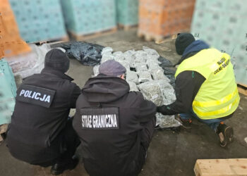 Straż Graniczna udaremniła przemyt 277 kg marichuany i 16 tys. butelek alkoholu