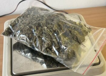 Kara do 3 lat więzienia za prawie 30 gramów marihuany