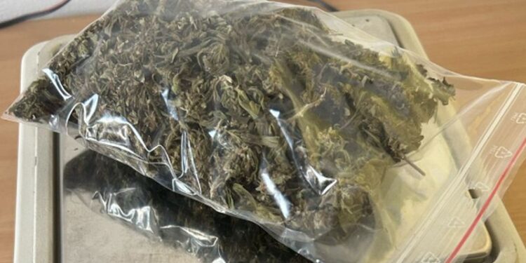 Kara do 3 lat więzienia za prawie 30 gramów marihuany