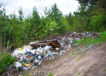 Problem dzikich wysypisk śmieci i akcja bogatyńskiego GPO