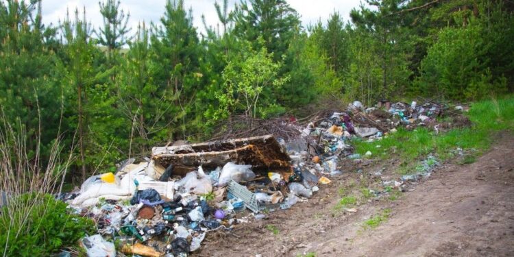 Problem dzikich wysypisk śmieci i akcja bogatyńskiego GPO