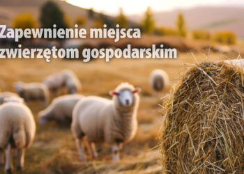 Zaproszenie do składania ofert: Zapewnienie miejsca zwierzętom gospodarskim