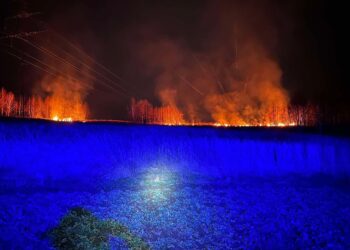 Pożary traw i nieużytków. Strażacy wyjeżdżali już 43 razy!