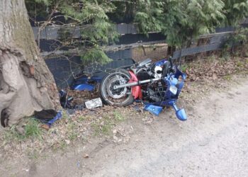Sulików: Motocyklista uderzył w drzewo