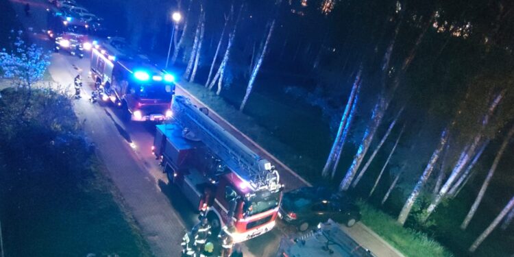 Dwa pożary w Wielkanoc w gminie Bogatynia