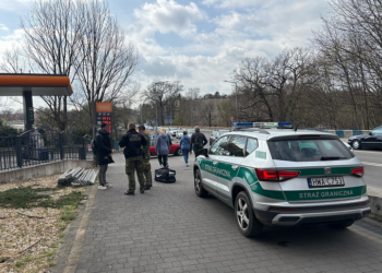 Straż Graniczna: Kontrolowali legalność pobytu w Polsce