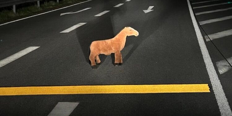 Niebezpieczny żart na drodze. Koń by się uśmiał…