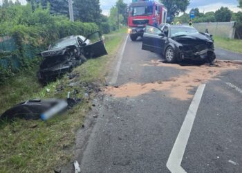 Czołowe zderzenie dwóch pojazdów w Lasowie