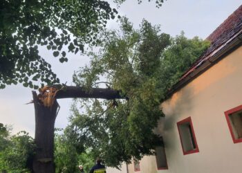 Skutki silnego wiatru w regionie. Drzewo zawaliło się na dom