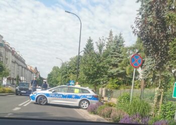 Potrącenie na przejściu dla pieszych