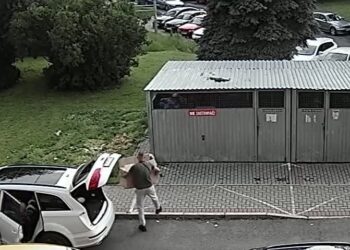 Bogatynia: Chciał pozbyć się śmieci, ale nie wiedział, że „wielki brat patrzy”