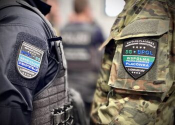 Gruzin z „lewymi” tablicami zatrzymany przez straż graniczną w Zgorzelcu