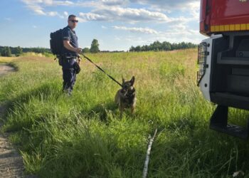 Mężczyzna chciał odebrać sobie życie, seniorka zniknęła z DPS. Dwie skuteczne akcje poszukiwawcze w powiecie