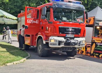 Nieproszeni goście na festiwalu – straż pożarna interweniuje podczas imprezy w Zgorzelcu