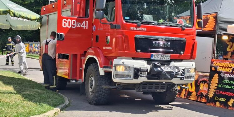 Nieproszeni goście na festiwalu – straż pożarna interweniuje podczas imprezy w Zgorzelcu