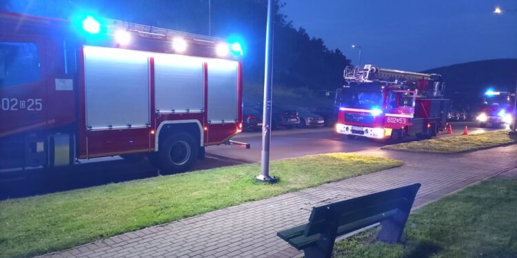 Pożar mieszkania w Bogatyni. Ucierpiały dwie osoby