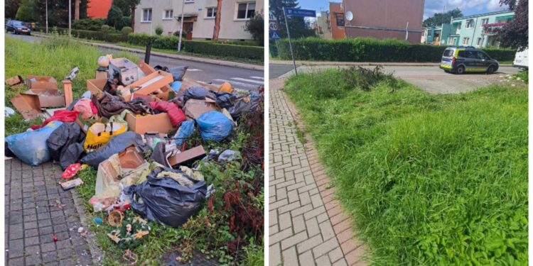 Skuteczne działania Straży Miejskiej w Bogatyni. Podrzucasz śmieci? Poniesiesz konsekwencje