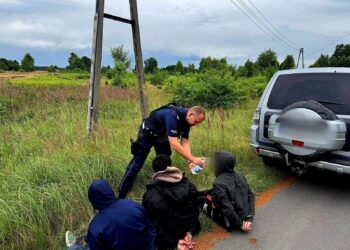 Zatrzymanie nielegalnych migrantów i ich przewoźnika w Starym Węglińcu