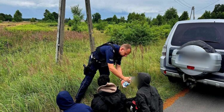 Zatrzymanie nielegalnych migrantów i ich przewoźnika w Starym Węglińcu