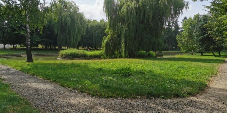 Będzie remont parku przy Batorego. Ogłoszono przetarg na projekt