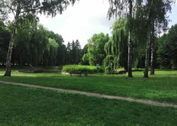 Będzie remont parku przy Batorego. Ogłoszono przetarg na projekt